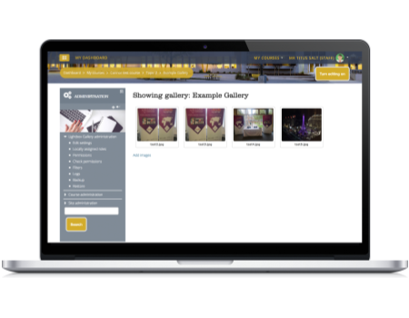 Plugin of the month: Lightbox Gallery